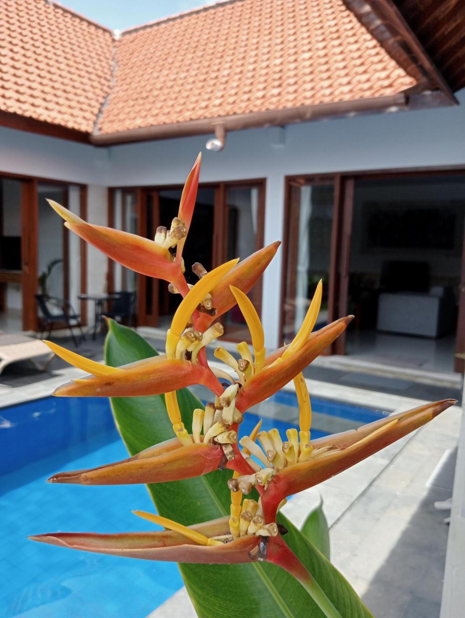 Pondok Indah Villa Ujung Zewnętrze zdjęcie